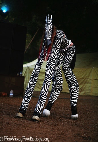 Zebra Mask
~Specialty 4-legged stilts~